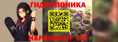 соль ск Партизанск